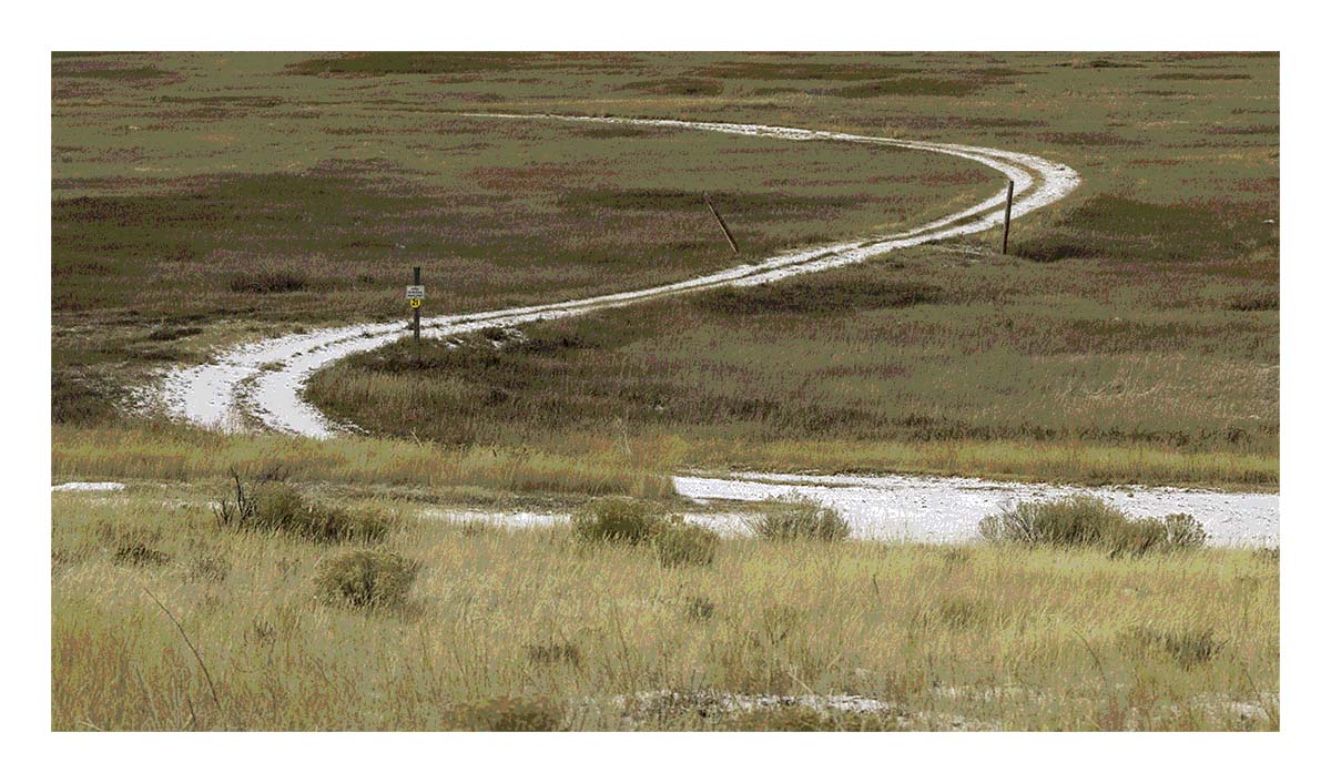 National Elk Refuge